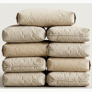 Ambuja PPC Cement — Portland Pozzolana for Masonry – 50 KG